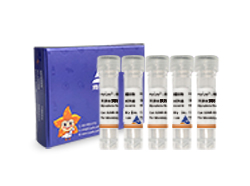 HyCyte?支必清支原體清除試劑盒