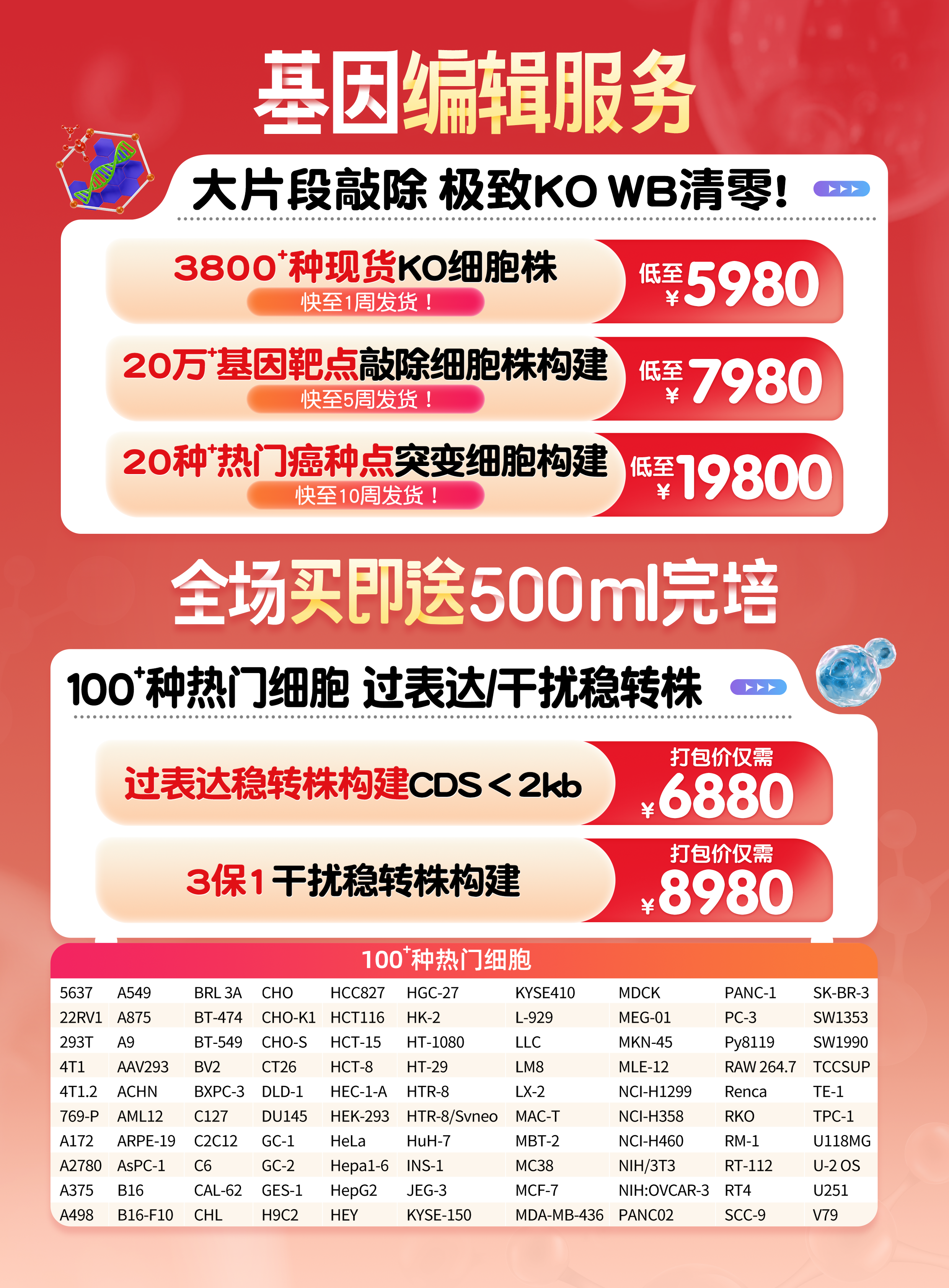 大片段敲除，極致KO，WB清零!